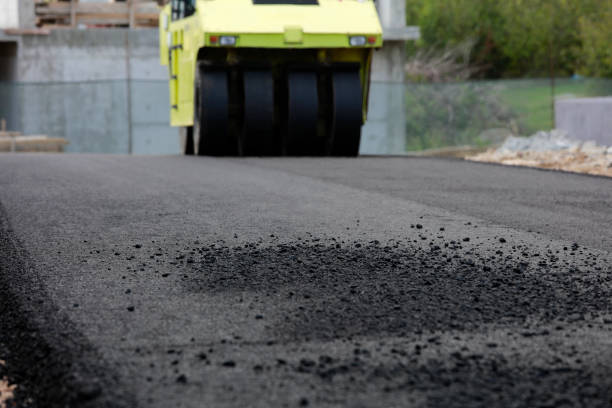 Best Residential Paver Driveway  in Carthage, MS