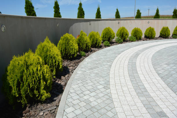 Reasons to Select Us for Your Driveway Paving Requirements in Carthage, MS